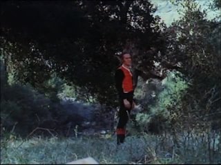 the erotic adventures of robin hood (1969)